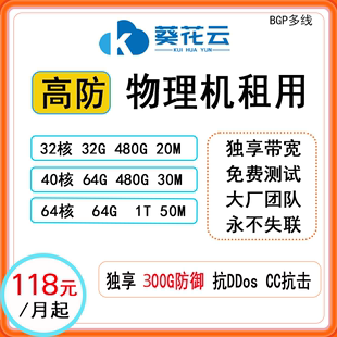 高防物理机租用独享带宽多线 湖北BGP物理服务器电信游戏网站搭建