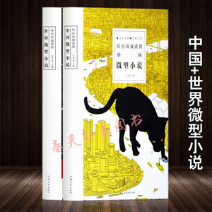 百年经典名家作品：中国+世界微型小说 精装版 全套2册 中外微型小说大全短篇小说集 微型 故事 文学书籍 畅销书名著经典 成人正版