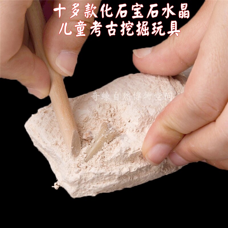 化石考古挖掘三叶虫鲨鱼牙陨石水晶菊石矿物宝石生物儿童益智玩具