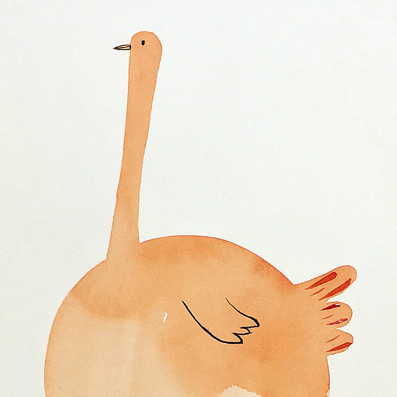 钟沛霖《可爱鸵鸟》水彩画