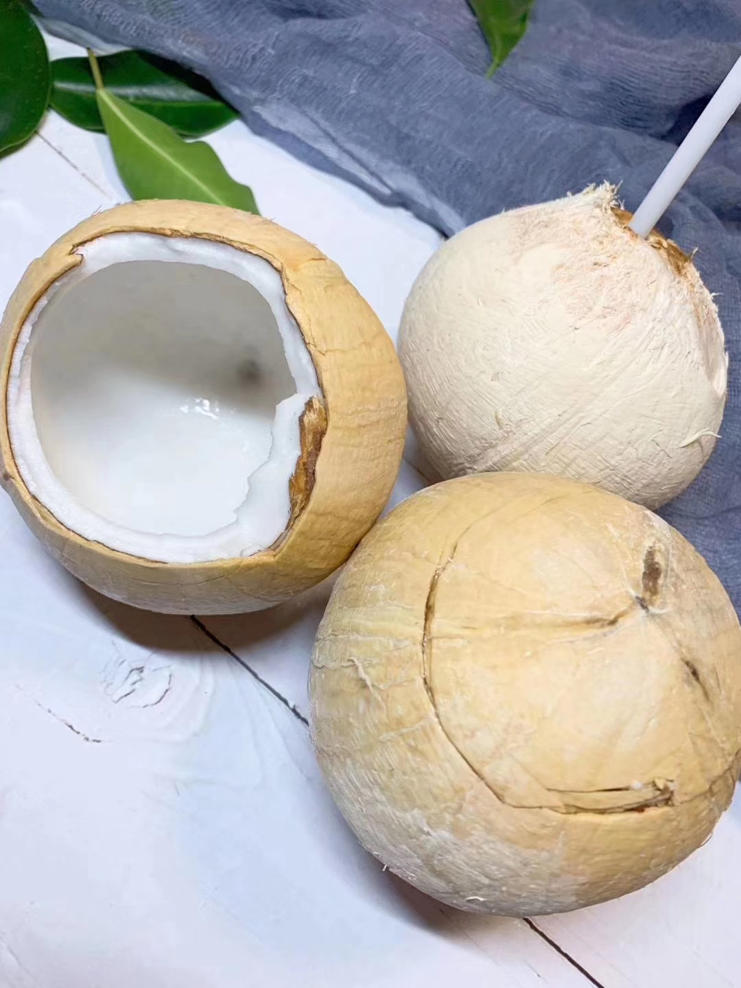 泰国进口椰皇