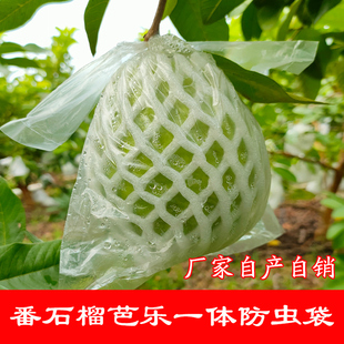 水果包番石榴芭乐释迦果网套袋专用保护防虫防透明袋一体塑料袋子
