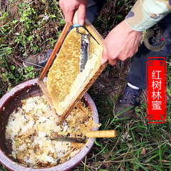 纯天然 广西钦州农家土蜂蜜自产红树林蜜 稀有蜜种500克包邮