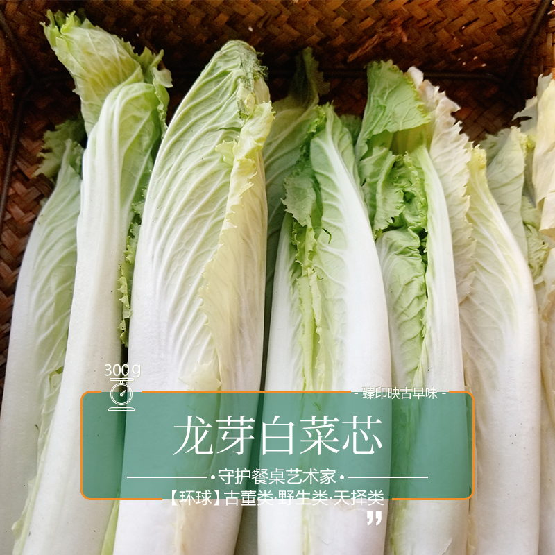 臻印映新鲜当季龙芽白菜芯超越有机甜嫩无渣可口宝宝辅食0.8 臻印映