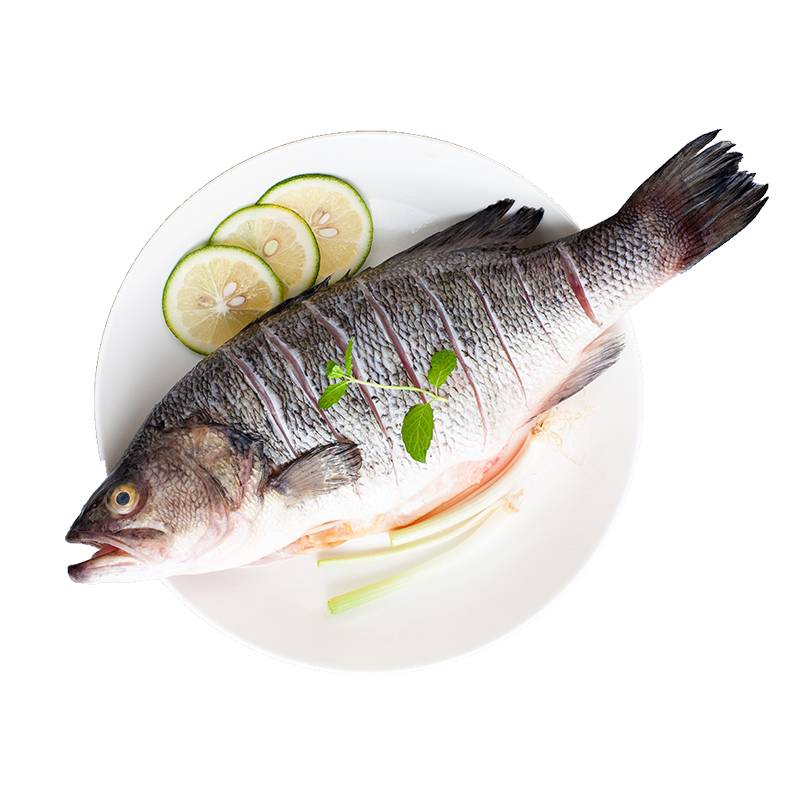 天山湖泊河鲈鱼2袋区域包邮大湖股份有机生态淡水鲈鱼500克新鲜冻