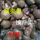 散装罗汉果破果广西桂林批发大破果大碎果凉茶干果烧烤破壳果