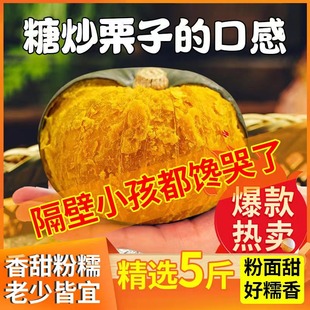 正宗贝贝南瓜板栗味迷你小南瓜粉糯香甜软孕妇宝宝辅食山东老南瓜