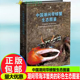 正版包邮  中国潮间带螃蟹生态图鉴  第一本覆盖全中国海域的海洋蟹类生态图鉴精心筛选2700 余幅高清的彩色生态图像 重庆大学