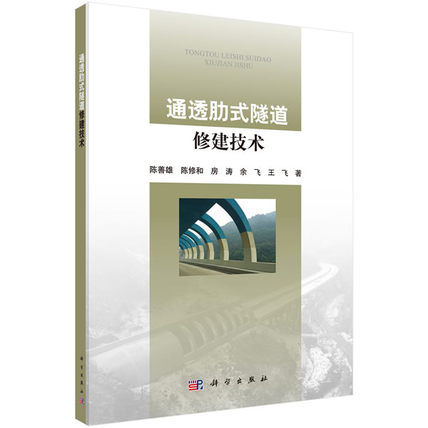 正版包邮 通透肋式隧道修建技术 陈善雄等 科学出版社 隧道工程书 建筑水利 专业科技 城乡规划 市政工程 公共交通路桥 建筑工程