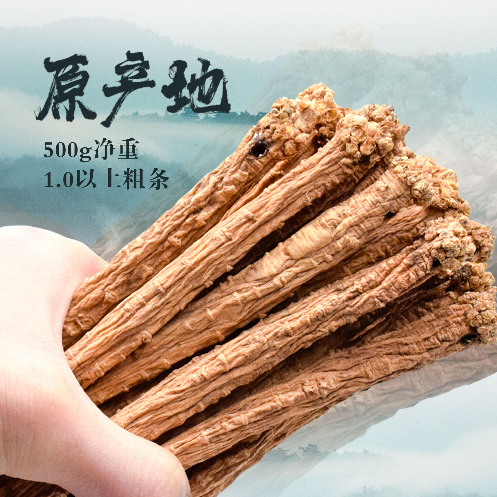 党参500克 甘肃岷县特产正宗无硫药材特级泡水煲汤白条党参