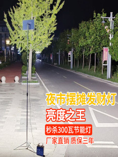 12v夜市灯摆摊灯LED生鲜灯彩光灯强光超亮户外防水灯地摊灯水果灯