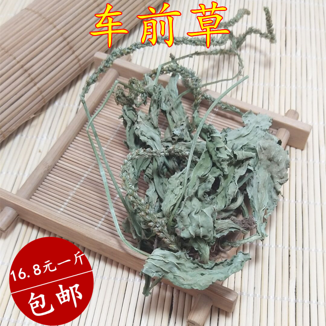 沂蒙山正宗野生车前草茶 整棵车前草今年新货干净无硫 一斤装包邮