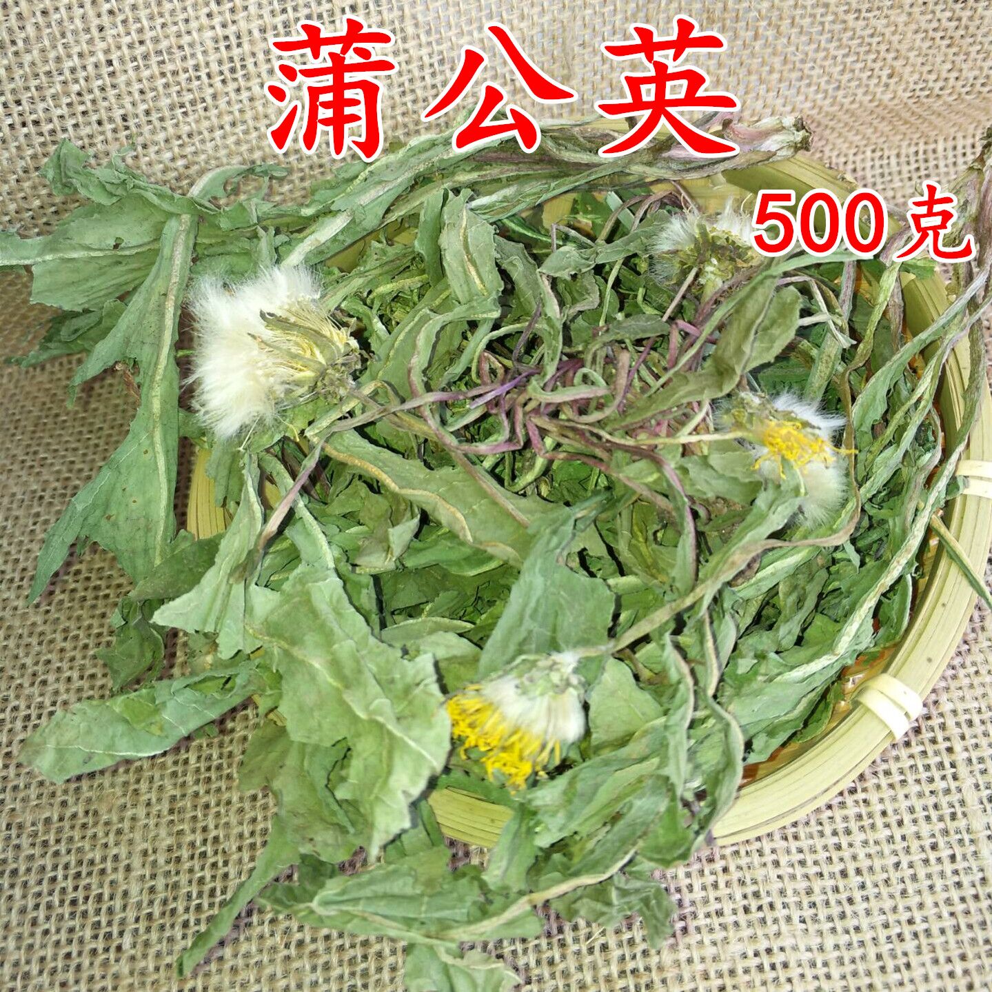 野生晒干蒲公英叶茶农家婆婆丁叶子茶古古丁带根带花整棵蒲公英茶