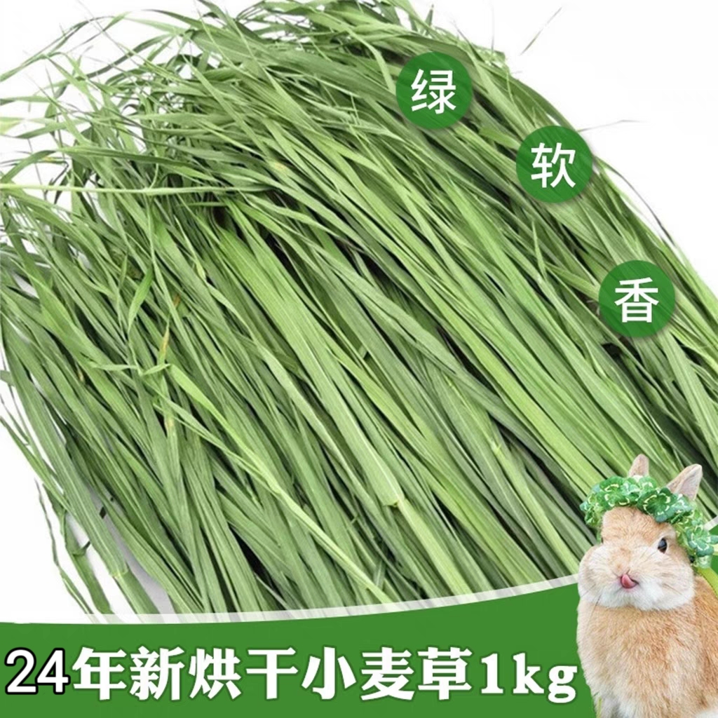 兔子干草烘干小麦草宠物兔牧草荷兰猪