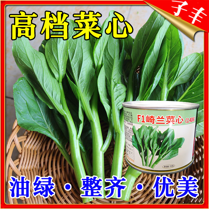 菜苔