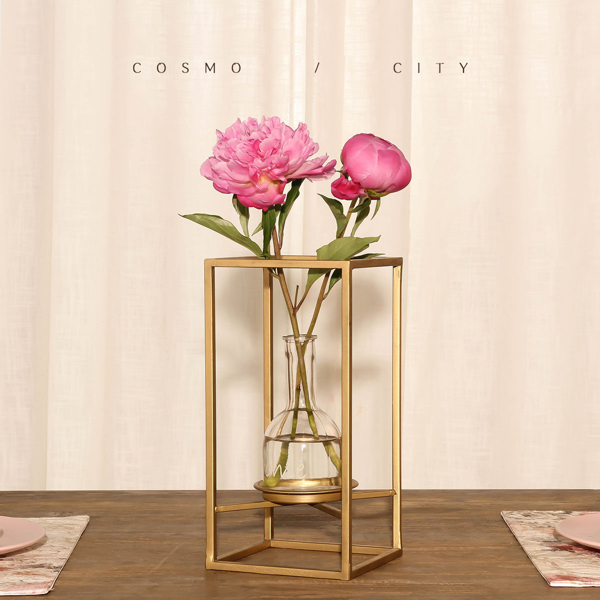 铁艺插花透明玻璃花瓶摆件家居客厅北欧简约创意装饰花器室内摆设_不