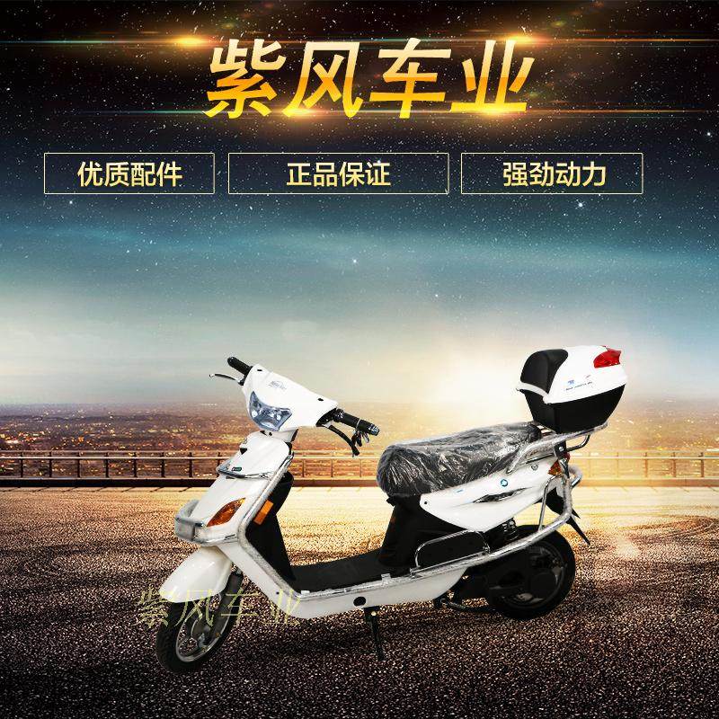 杰宝大王福乐电动自行车颜色多选择多双人电动电瓶车包邮可上牌