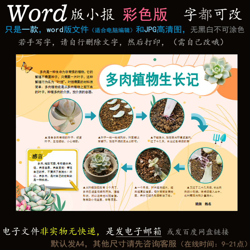 简报z106电子手抄抄报word模版学生多肉植物设计素材