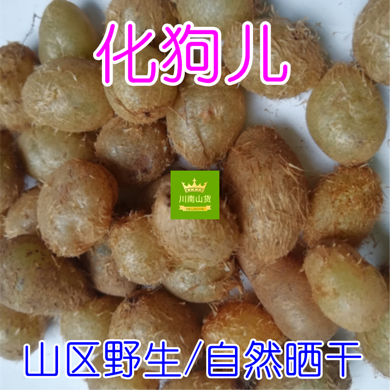 野生肾蕨果 化狗儿 石黄皮 250g包邮 滑狗儿 凤凰蛋 贵州中草药材