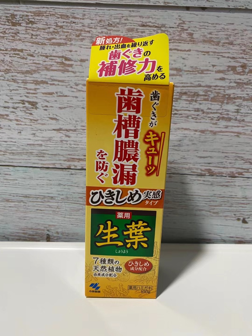 小林制药KOBAYASHI 生叶EX收敛温和型牙膏 植物配方口臭清洁100g