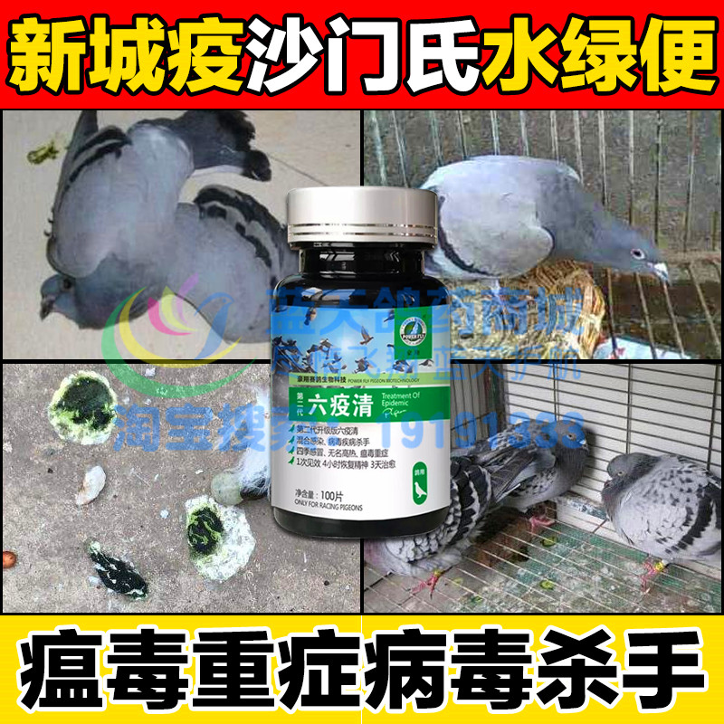 豪翔鸽药六疫清片混合感染沙门氏菌鸽瘟新城疫鸽子水绿便肠道特效