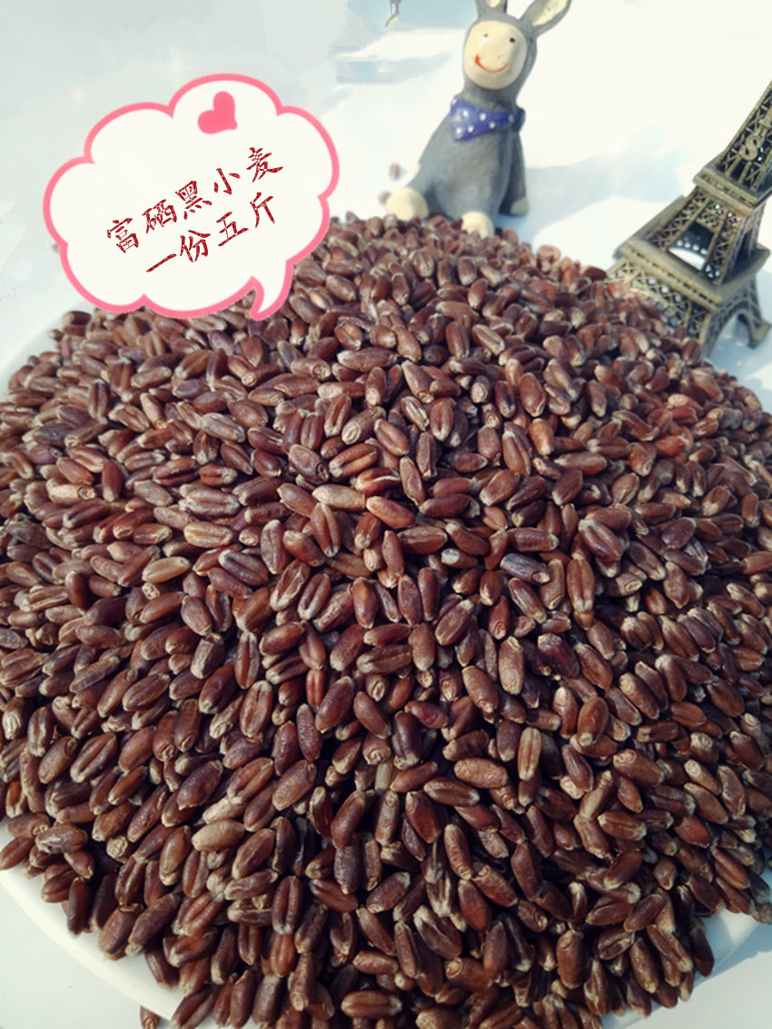 山东特产农家散装富硒带皮黑小麦粒黑小麦种子小麦草榨汁熬粥包邮