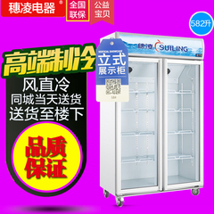 穗凌 LG4-582M2F冰柜商用立式风冷冷藏双门冷柜陈列柜饮料展示柜