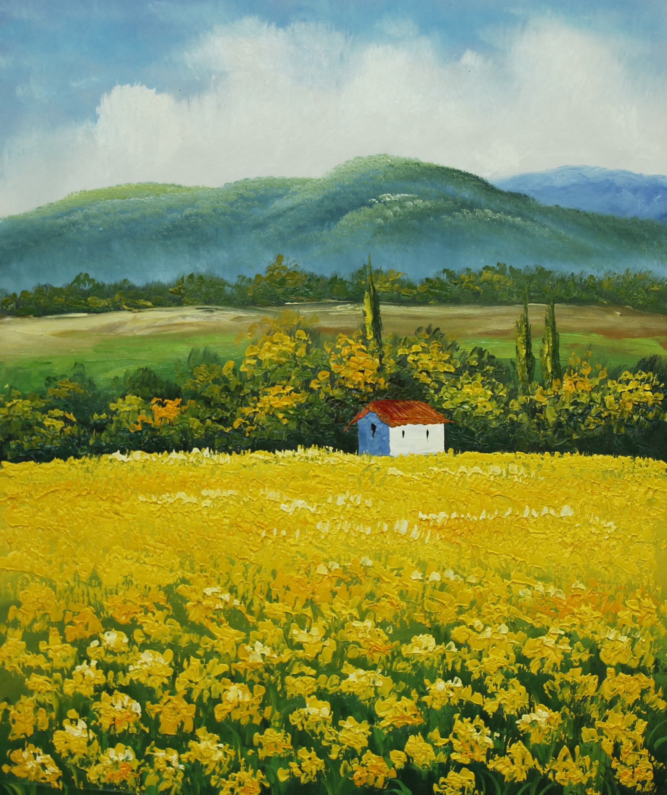 张名油画作品《油菜花田》