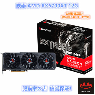 肥猫家の店 映泰 RX6700XT 12G 全新 台式电竞游戏独立显卡