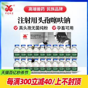 中龙神力头孢噻呋钠兽用注射母猪牛羊产后消炎感冒药呼吸道药正品