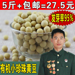 黄豆农家自种山东散装高产非转基因大豆种子杂粮小黄豆发豆芽