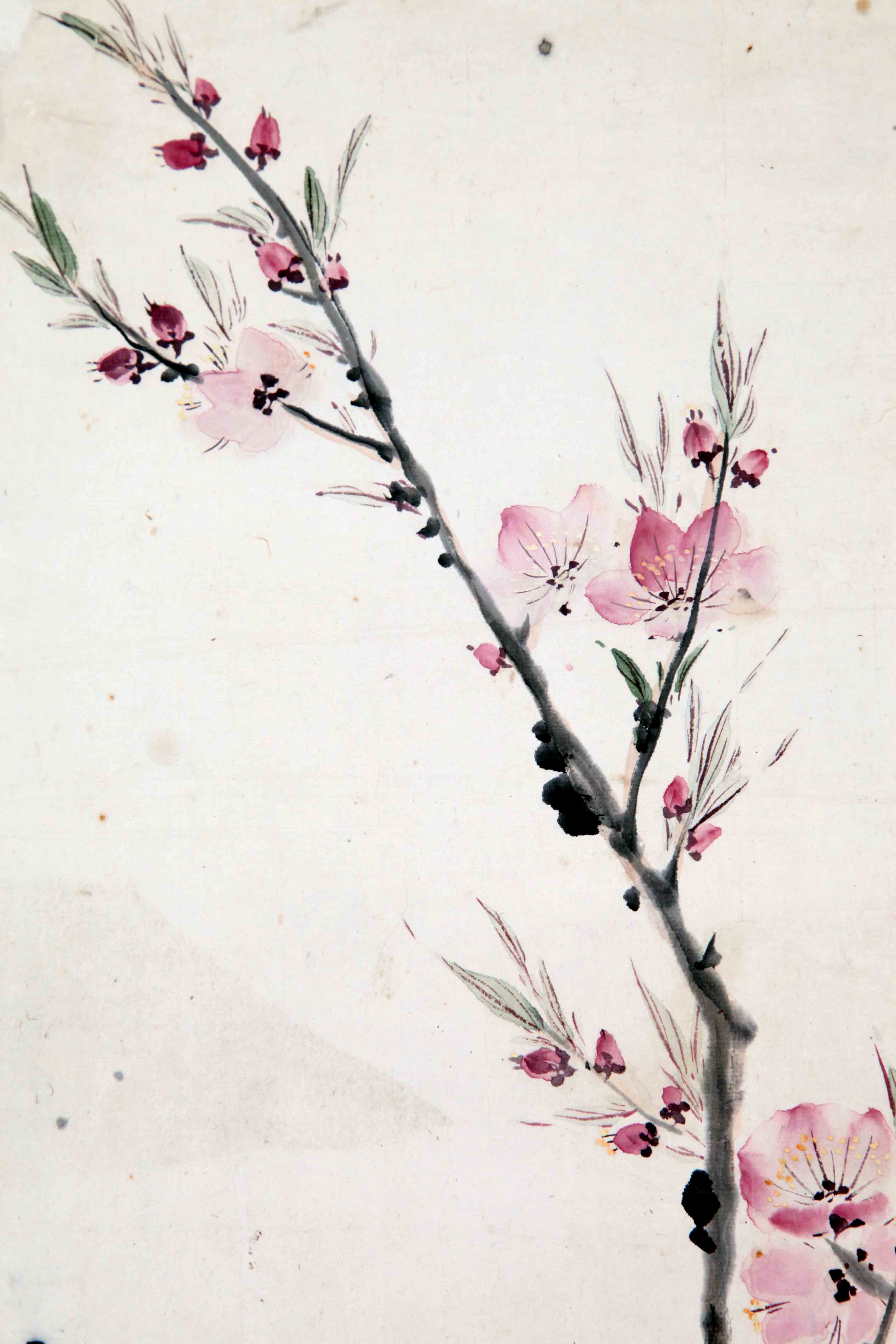 王雪涛《桃花》(附荣宝拍卖证书)