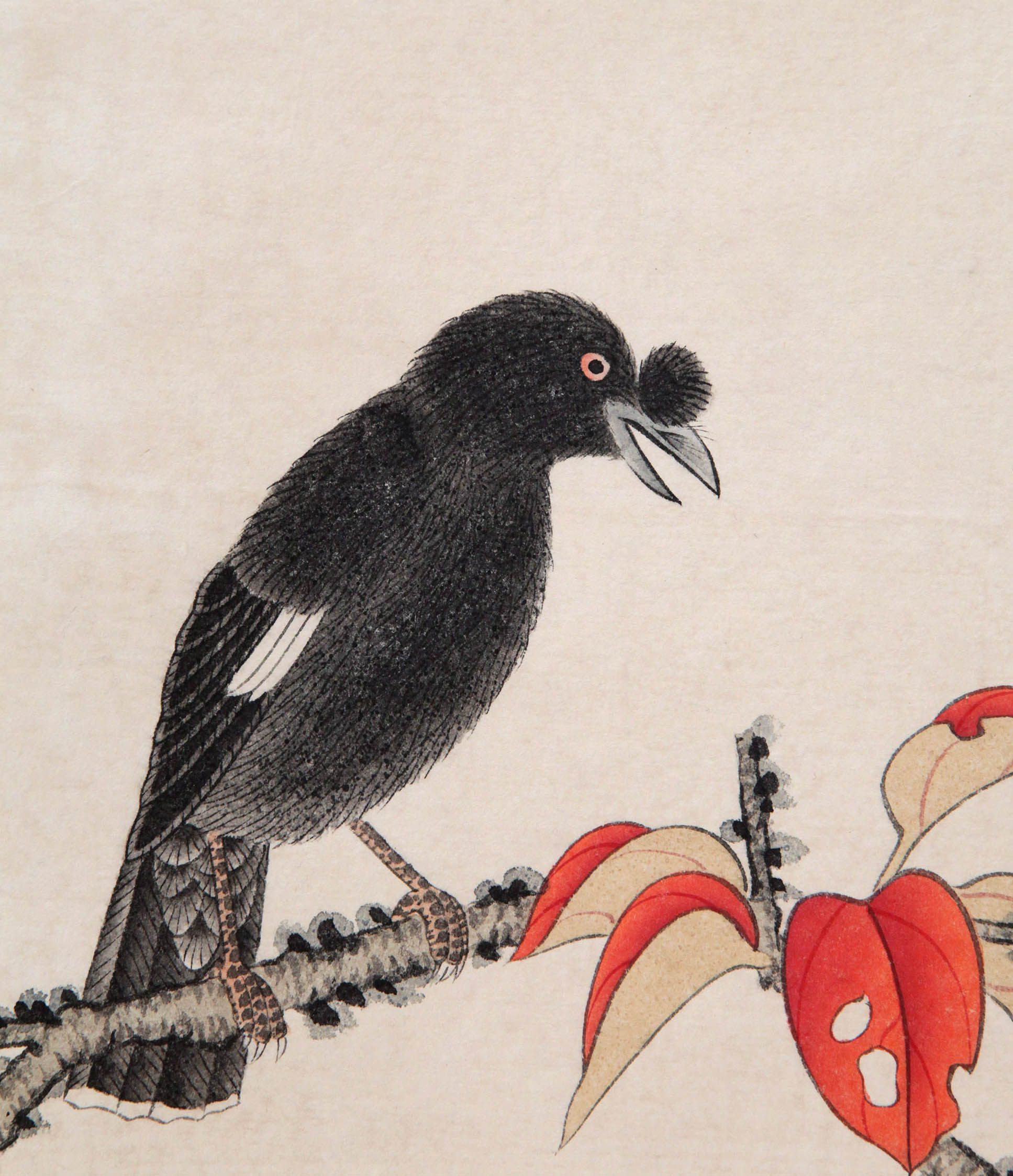 谢稚柳 《红叶八哥》