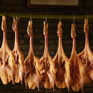 老花镜折叠眼镜盒嫁接香瓜苗hoodress大容量茶水分离杯塑料靠背椅大人