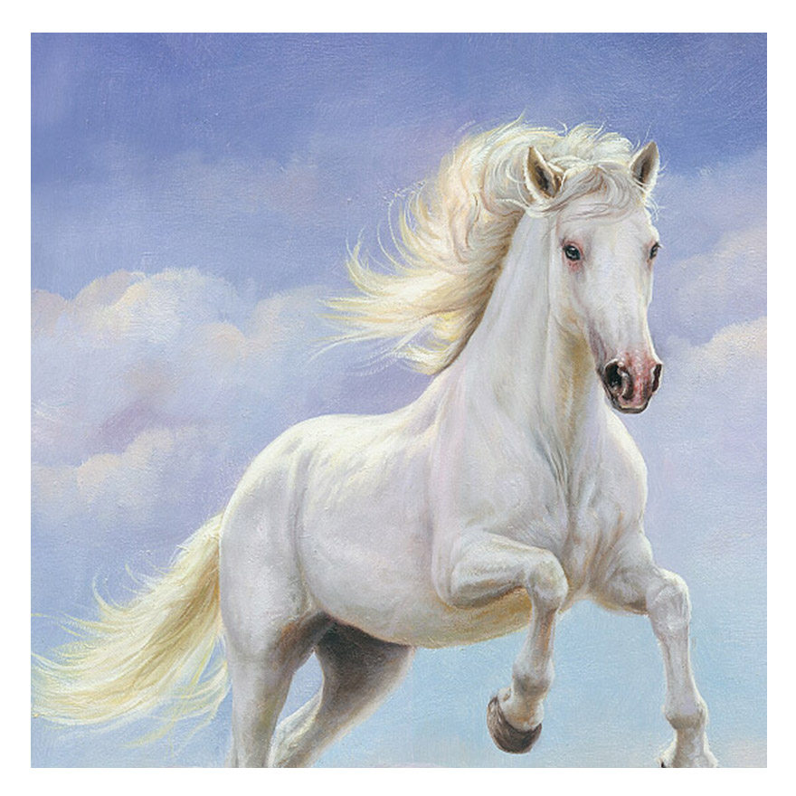 林树新《白马》海艺创国际