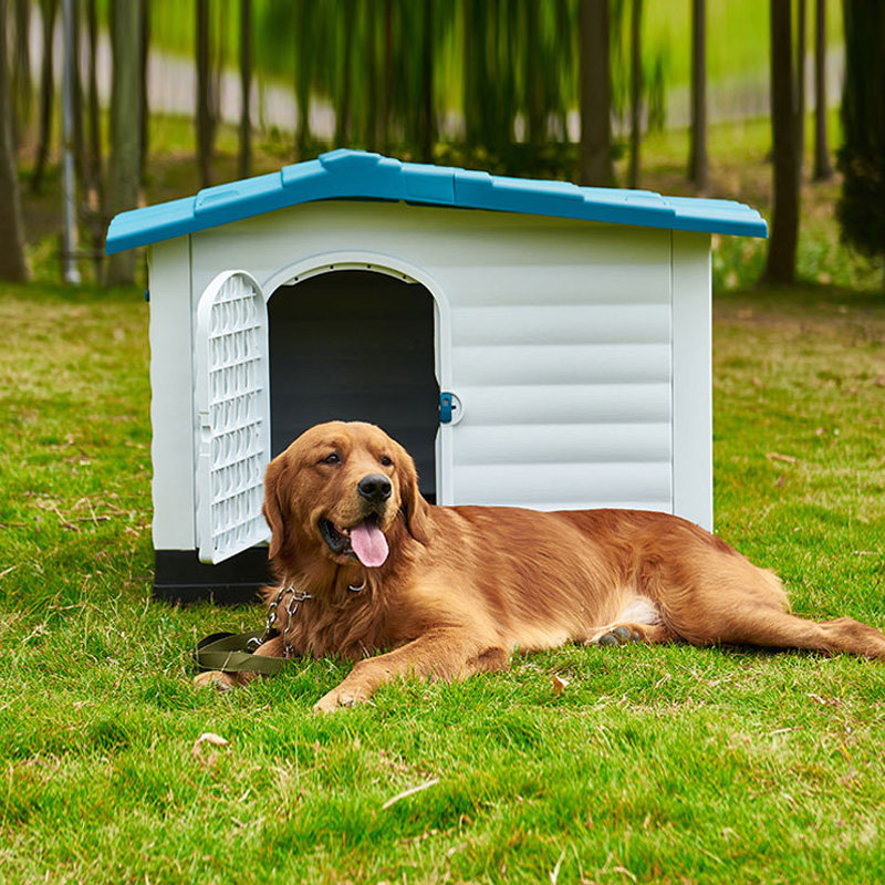 狗狗房子宠物屋优惠券