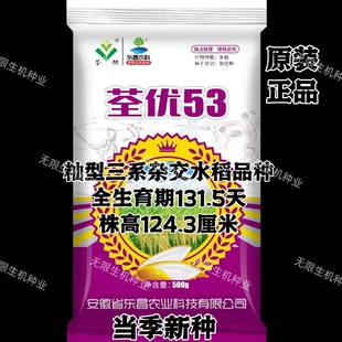 国审稻荃优53水稻种子籼型三系杂交稻种籽孑优质抗病高产大穗正品