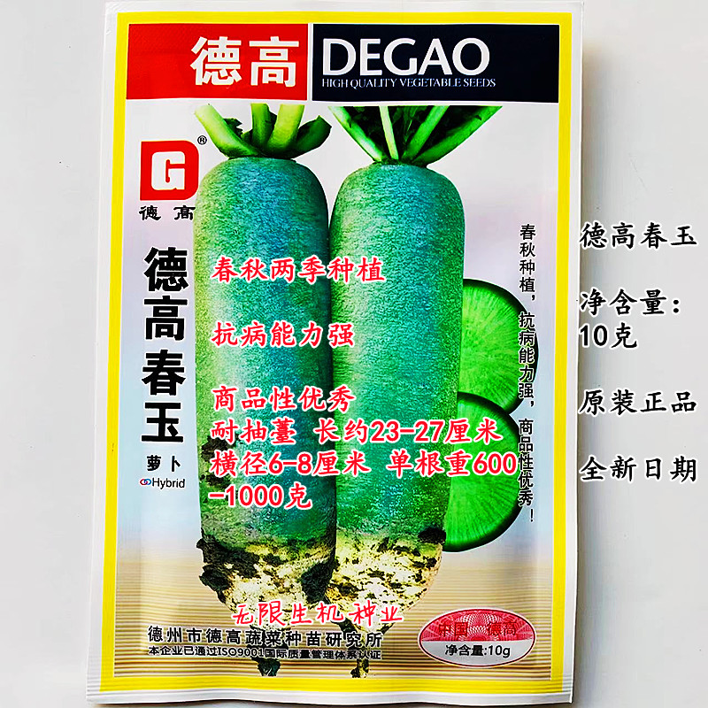德高春玉青萝卜种子一代杂交肉质翠绿青萝卜种子脆嫩微甜春秋季种
