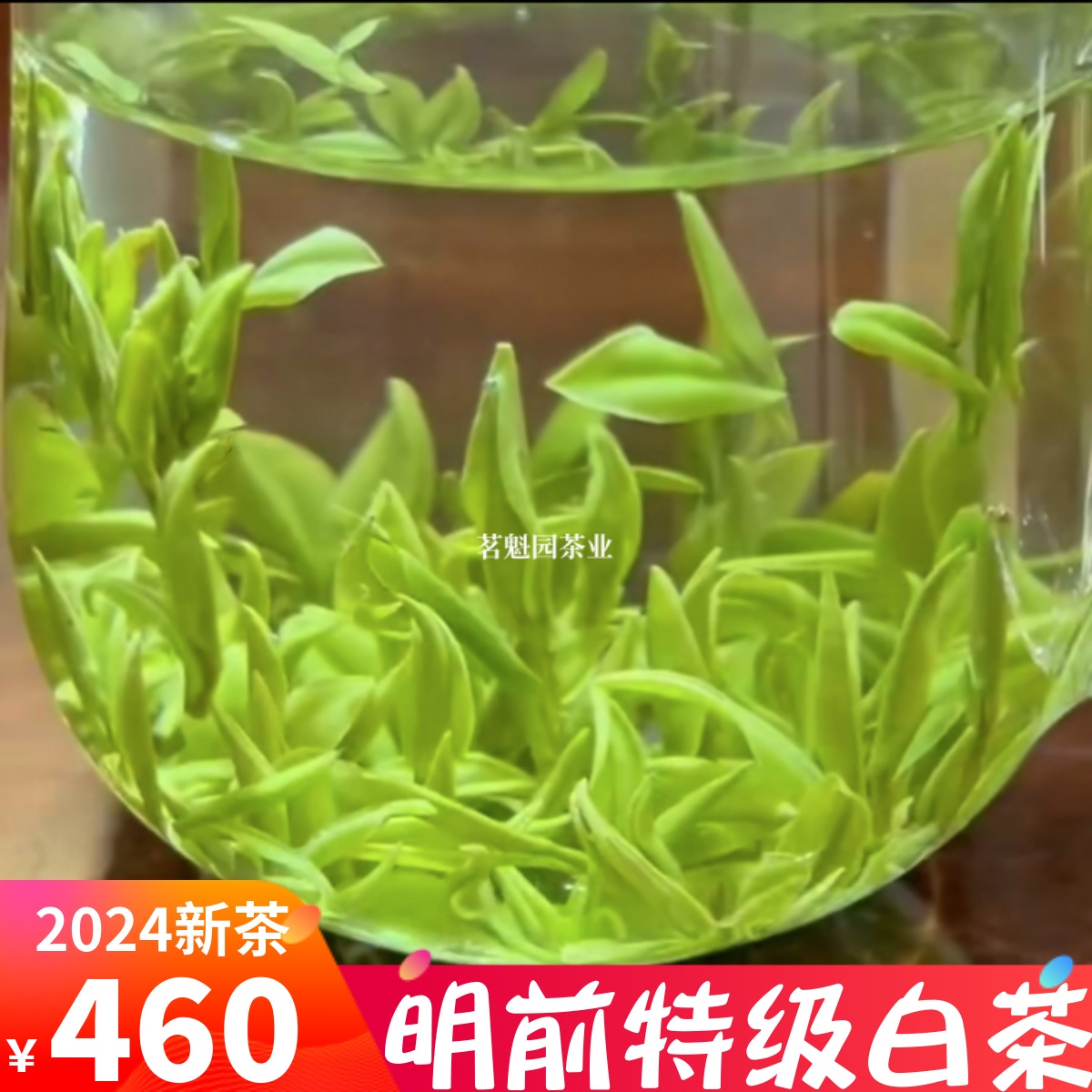 2024新茶正宗白茶安吉明前特级珍