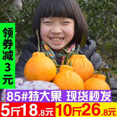 四川丑橘新鲜水果耙耙柑包邮当季整箱5斤大果丑八怪橘子10丑柑桔