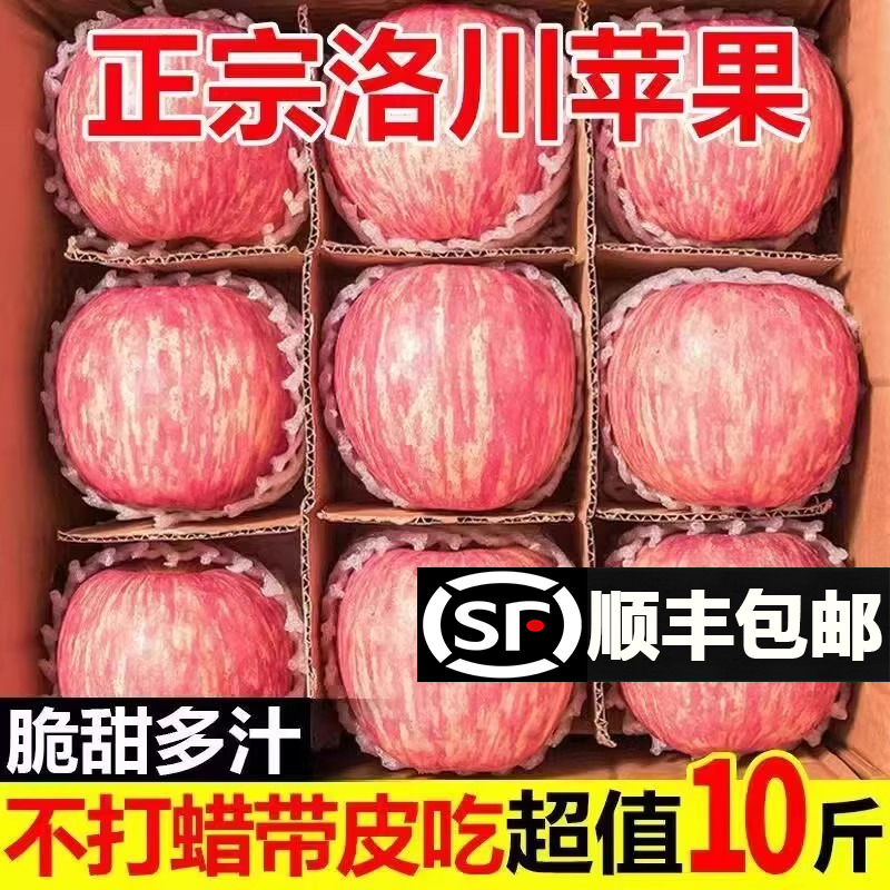 正宗洛川苹果10斤新鲜水果陕西红富