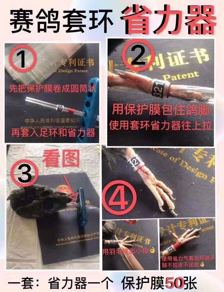 信鸽用品用具赛鸽套环省力器赛鸽用品