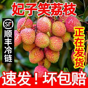 海南妃子笑荔枝5斤新鲜当季水果现摘整箱包邮顺丰冷链隔天到