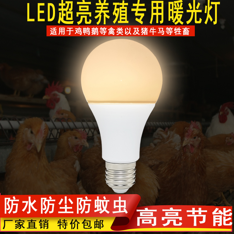 LED暖光灯泡节能暖光球泡E27螺口超亮家用商用养殖场用照明灯