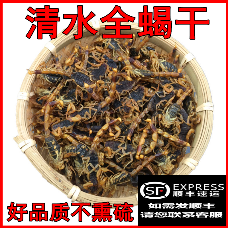 沂蒙山十足蝎子干清水蝎子干全虫蝎子全蝎泡酒干10克包邮冷冻保存