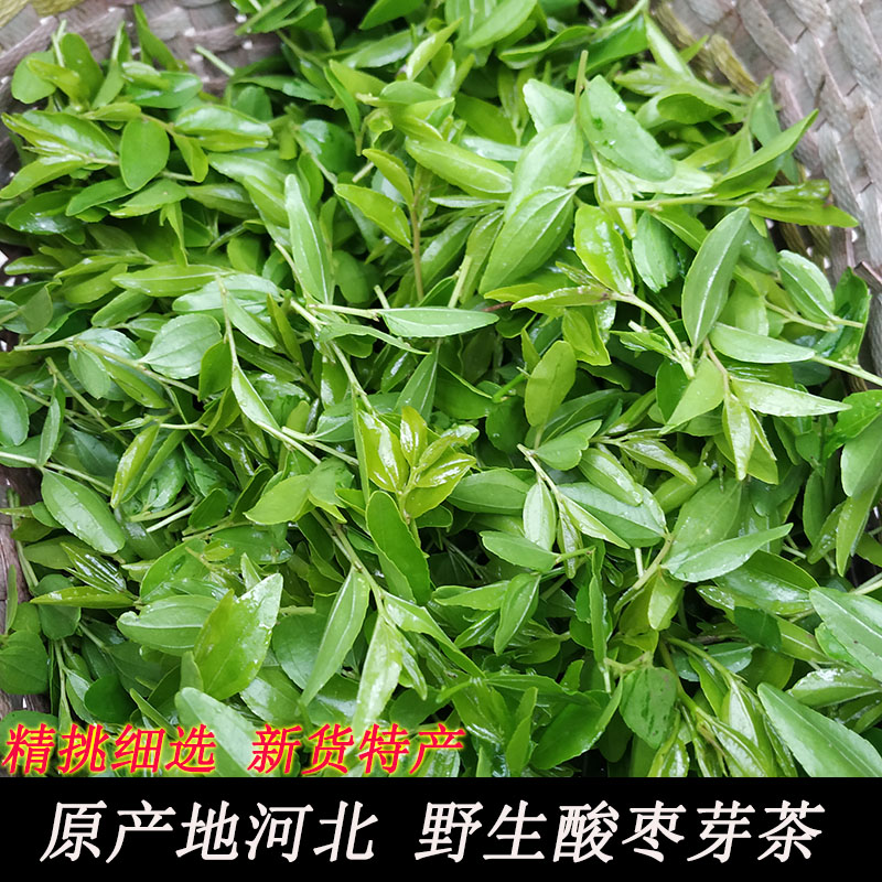 河鼻 生酸枣芽茶正品太行山炒制嫩芽新茶罐装酸枣仁叶茶特级新货