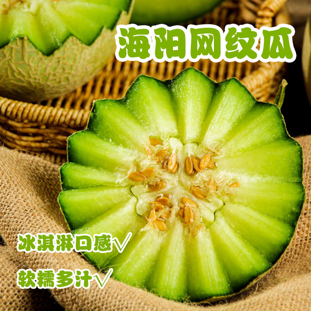 海阳网纹蜜瓜4-4.5斤/2枚装 软糯香甜静冈蜜瓜新鲜应季水果甜瓜
