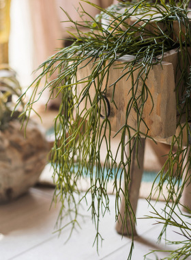 斑节松萝铁兰盆栽仿真植物垂吊壁挂造景绿植花卉吊兰摆件厂家直销