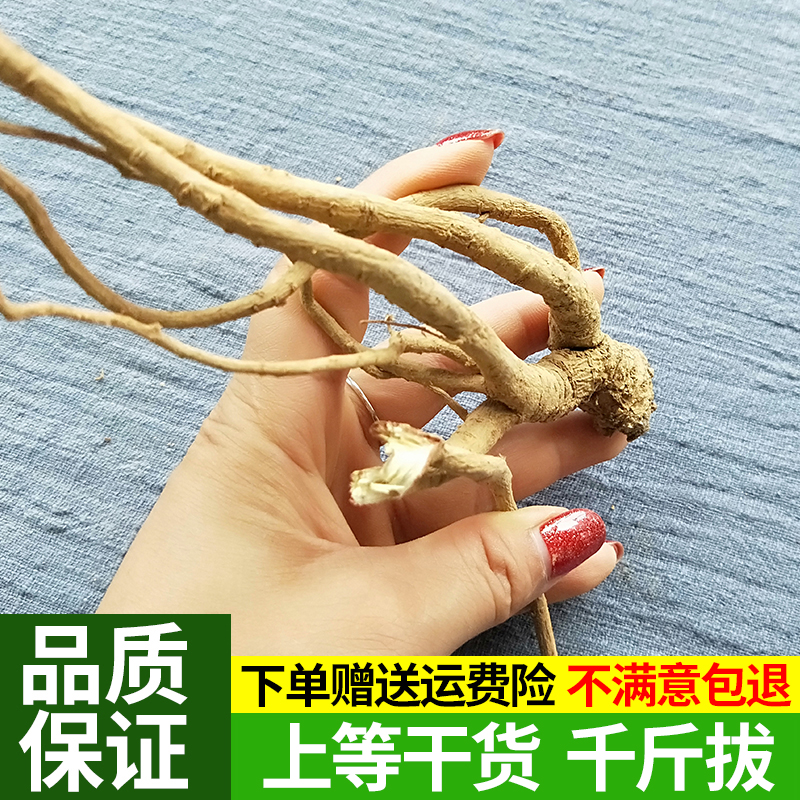野生千斤拨千金拔一条根正品新鲜500g包邮无硫细根钻地风钉地根汤在类目 传统滋补营养品, 药食同源食品, 其他药食同源食品中 - 来自Buy2taobao.com提供专业的淘宝代购服务