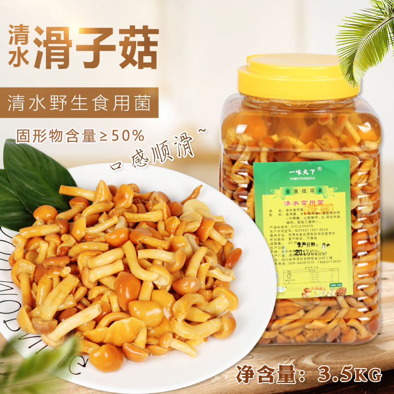 一味天下清水滑菇罐头 食用野生菌珍珠菌3500g包邮 火锅汤锅